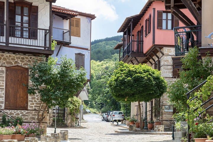 Halkidiki Day Tour: Arnaia Village, Honey Tasting & Ierissos Beach Escape