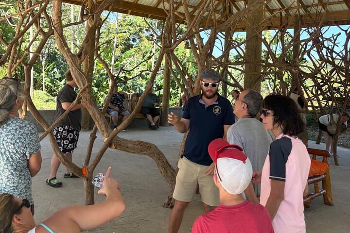 Roatán Private Island Tour: Sloths, Chocolate & Crafts on West End photo 5