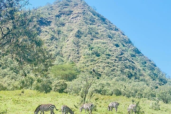 Cycling Hell's Gate & Lake Naivasha Boat Ride — Rift Valley Day Trip from Nairobi photo 4