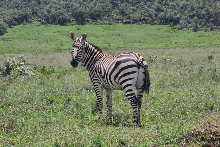 Cycling Hell's Gate & Lake Naivasha Boat Ride — Rift Valley Day Trip from Nairobi photo 5