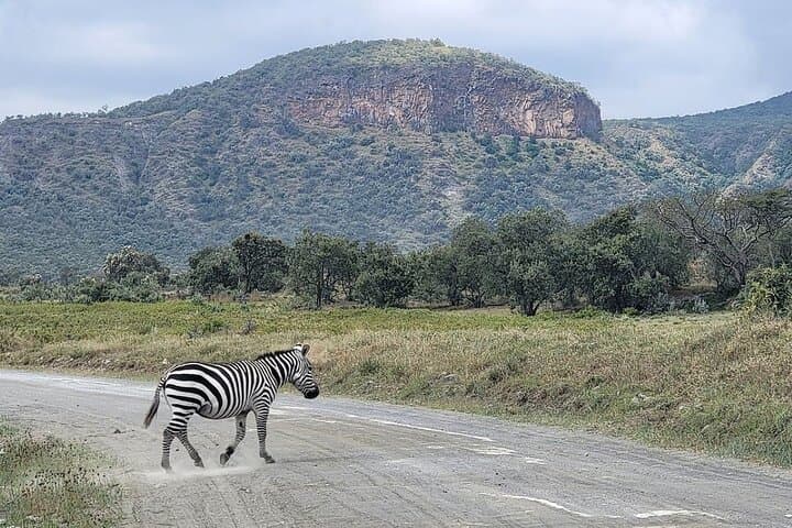 Cycling Hell's Gate & Lake Naivasha Boat Ride — Rift Valley Day Trip from Nairobi photo 6