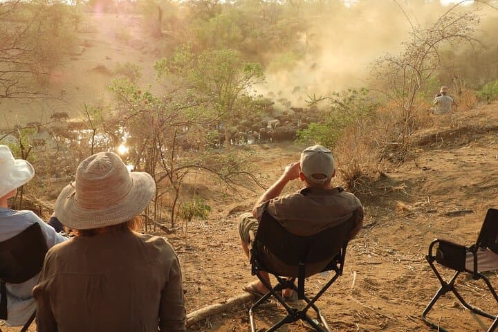 13-Day Zambezi River Private Glamping Expedition: Mana Pools to Victoria Falls photo 2