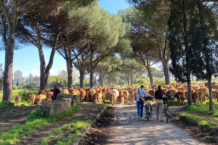 E-Bike the Appian Way: Catacombs, Aqueducts and Rome's Rural Ruins photo 4