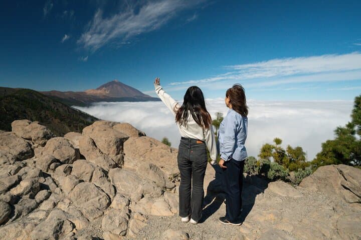 Tenerife Wonder Walk: Teide Volcano and Anaga Cloud Forest in One Day photo 4