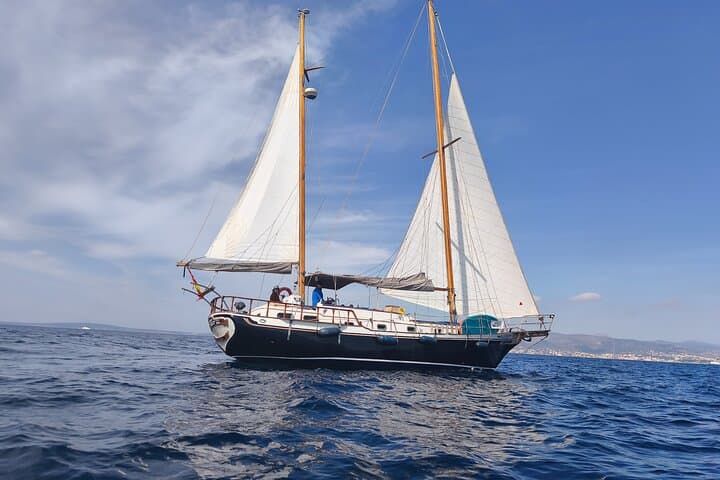 Family Sailing Day in Bay of Palma — Private Sail, Snorkel & Spanish BBQ photo 2