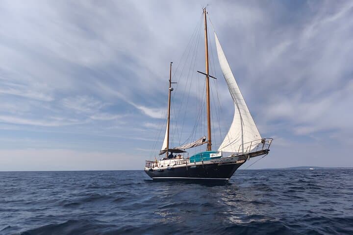 Family Sailing Day in Bay of Palma — Private Sail, Snorkel & Spanish BBQ photo 3