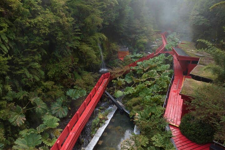 Geometric Thermal Baths Day Trip from Valdivia — Lake Calafquén, Panguipulli & Soaking