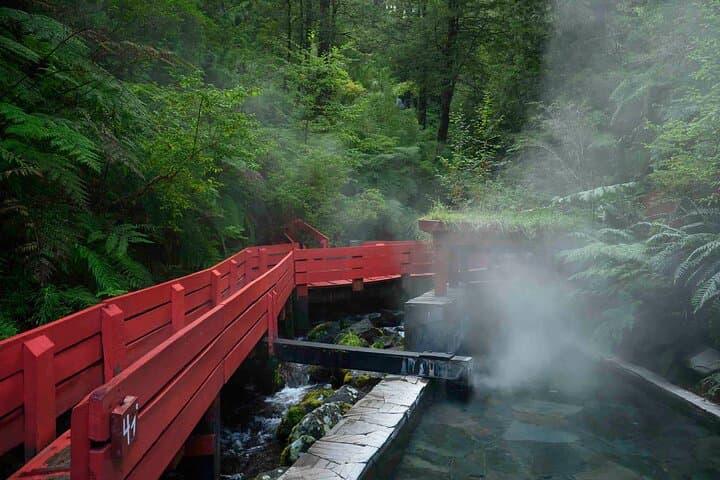 Geometric Thermal Baths Day Trip from Valdivia — Lake Calafquén, Panguipulli & Soaking photo 2