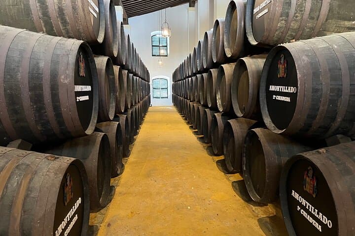 Private Crew Tour of Lanzarote: Timanfaya Volcano, La Geria Wines & Coastal Drives photo 5