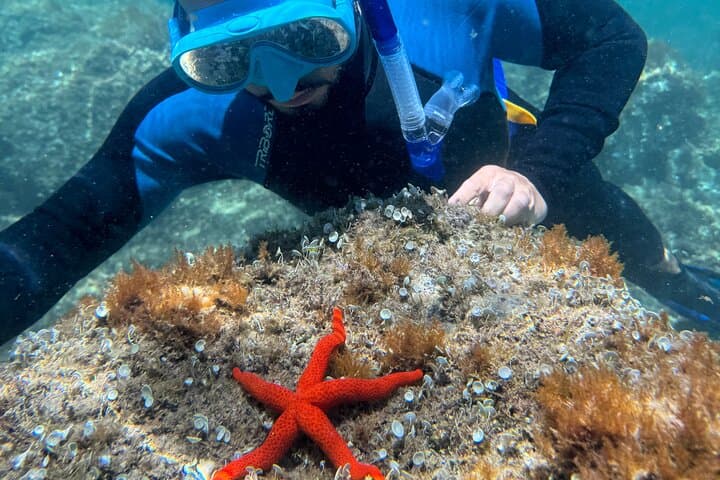 Costa Brava Kayak & Snorkel Adventure from Barcelona photo 5
