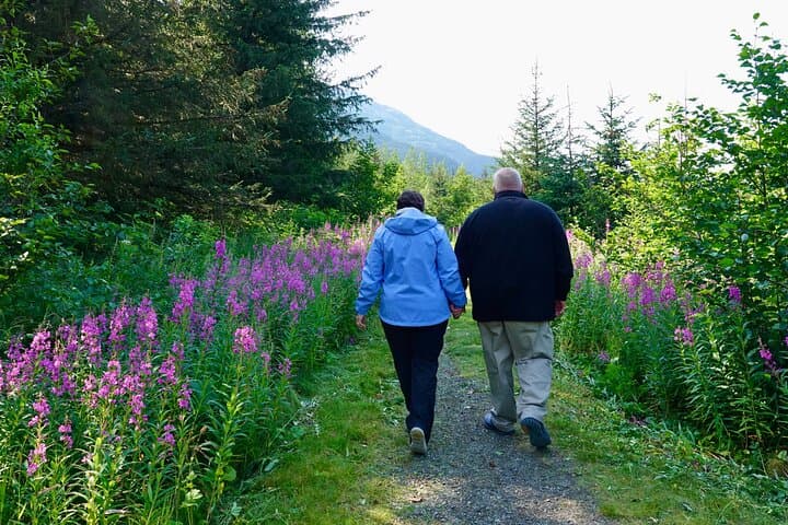 Turnagain Arm Glacier Discovery: Private Scenic Tour from Anchorage photo 5