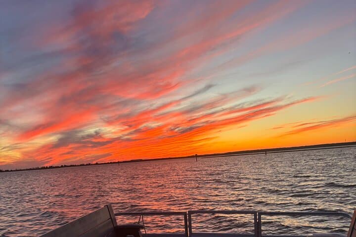 Private 4-Hour Sandbar Adventure from West Wildwood — Sandbar Charters & Sandbar Stops photo 6