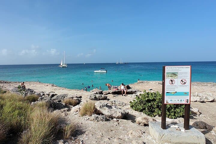 Aruba Turtle Spotting Snorkeling Adventure — Swim with Sea Turtles photo 3