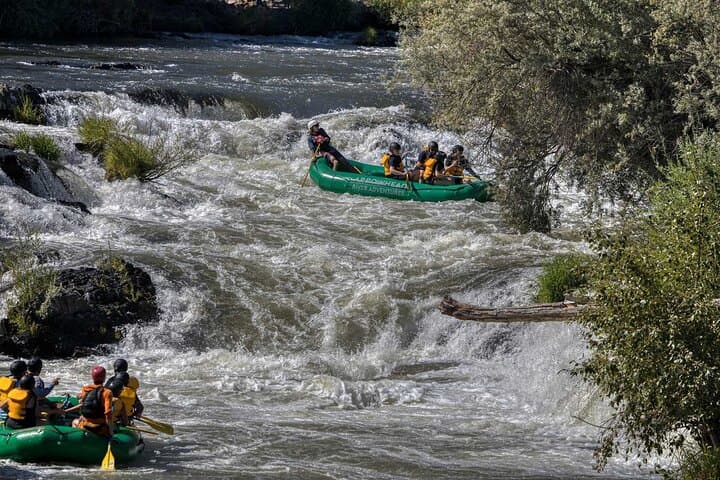 Rogue River Half-Day Whitewater Rafting to Nugget Falls photo 3