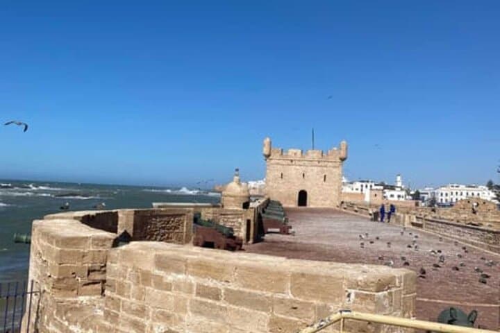 Essaouira Day Trip from Marrakech: Medina, Argan Cooperatives & Tree-Goats photo 2