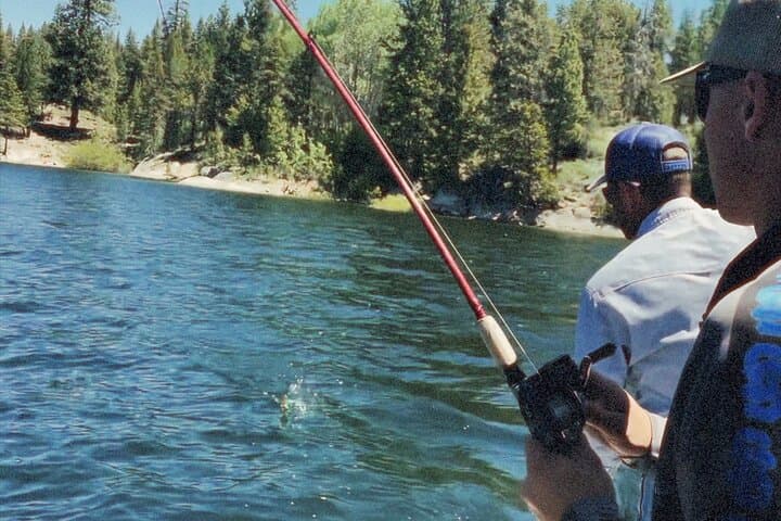 Guided Jumbo Perch Fishing Trip on Lake Cascade photo 2