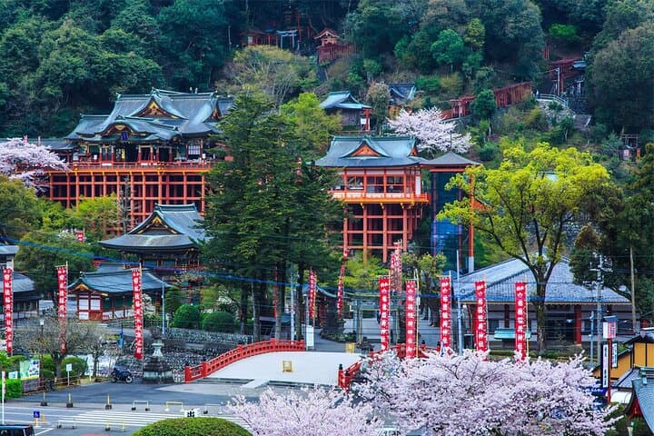 Yutoku Inari Shrine & Sachihime Sake Brewery Day Tour from Fukuoka