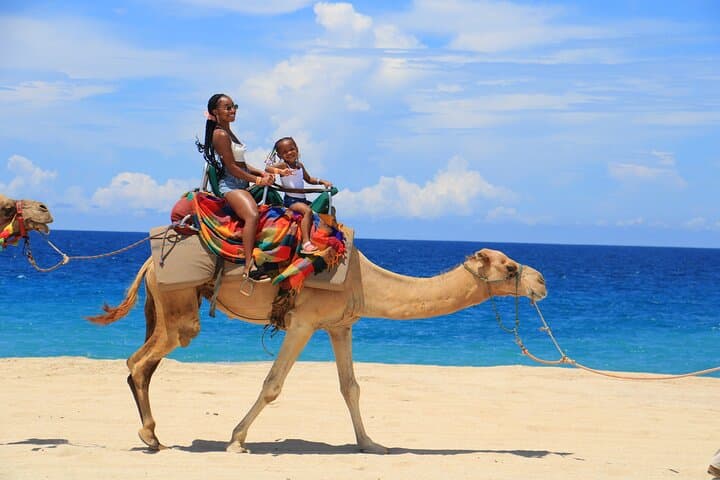 Migriño Beach ATV, Camel Ride & Sky Bike Combo — Cabo Adventure Guide photo 5