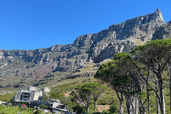 Half-Day Table Mountain, Signal Hill & Bo-Kaap Tour — Cape Town Highlights photo 2