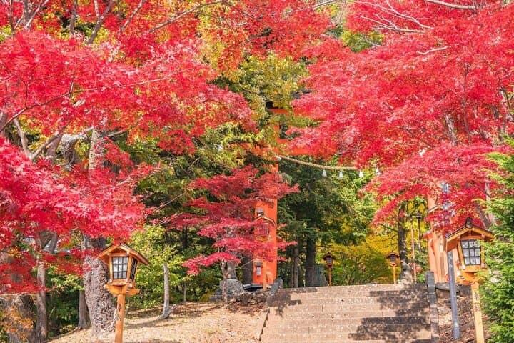 Mount Fuji Day Tour: Chureito Pagoda, Lake Kawaguchi & Oshino Hakkai — A Practical Guide photo 2