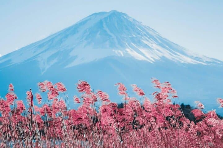 Mount Fuji Day Tour: Chureito Pagoda, Lake Kawaguchi & Oshino Hakkai — A Practical Guide photo 6