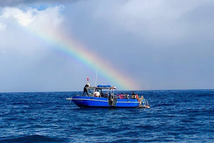 Molokini 3‑Tank Advanced Dive: Back Wall Drift, Wasteland Pinnacles & Wrecks photo 3