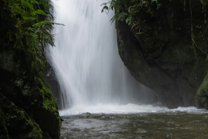 Mindo Cloud Forest Day Tour from Quito: Waterfalls, Hummingbirds and Chocolate photo 6