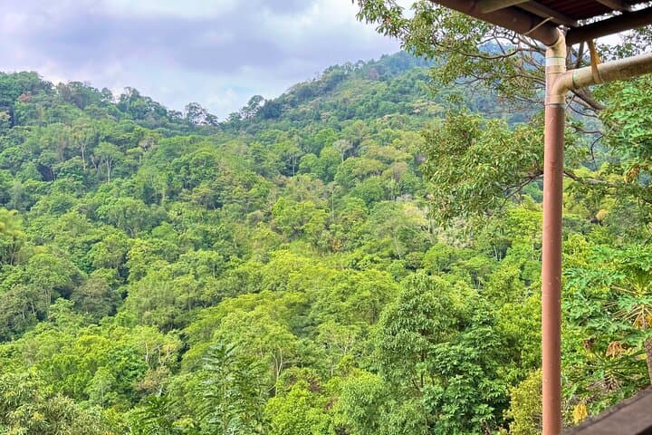 Minca Motorcycle Tour — Pozo Azul Swim, Sierra Views & 1600m Colombian Crest photo 3