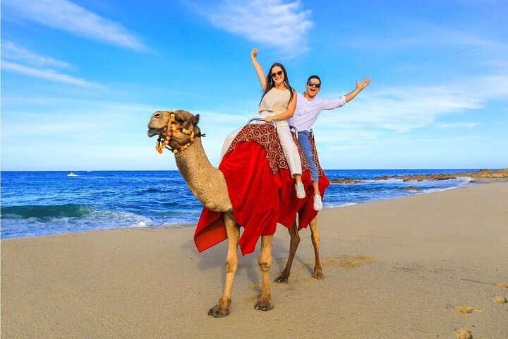 Dunes to Sea: Cabo Beach UTV, Camel & Horseback Adventure with Tequila Tasting photo 5