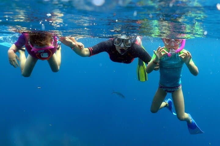 Snorkel Catalina Island from La Romana: Wall, Aquarium & Beach Lunch photo 3