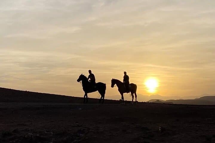 Aït Ben Haddou Horseback Ride: 1.5-Hour Kasbah, Palm-Grove & Semi-Desert Trail photo 4