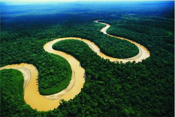 3-Day Pacaya-Samiria Amazon Safari from Iquitos: Wildlife, Rivers & Local Villages photo 4