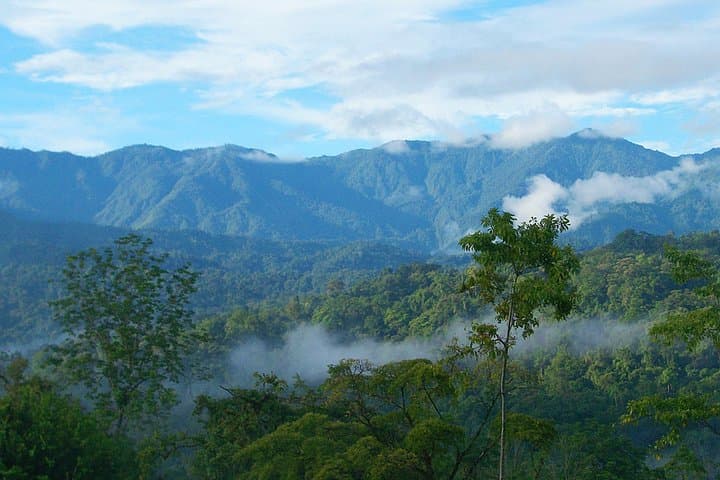 Veragua Rainforest Eco-Adventure: Gondolas, Waterfalls & Butterfly Gardens in Limón, Costa Rica