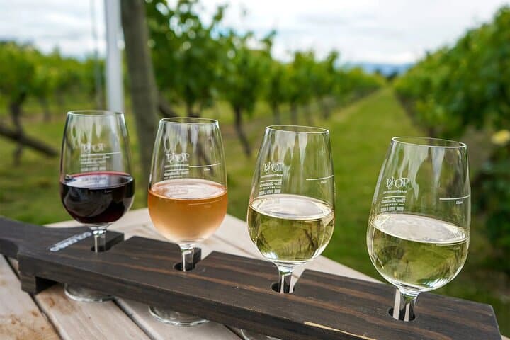 Martinborough Wine Day Trip from Wellington – Wairarapa Vineyards & Tastings photo 3