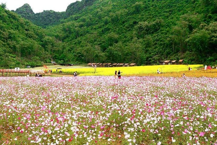 Sapa & Bac Ha Market 3-Day Cultural Trek: Rice Terraces, Hmong Villages & Sunday Market photo 2