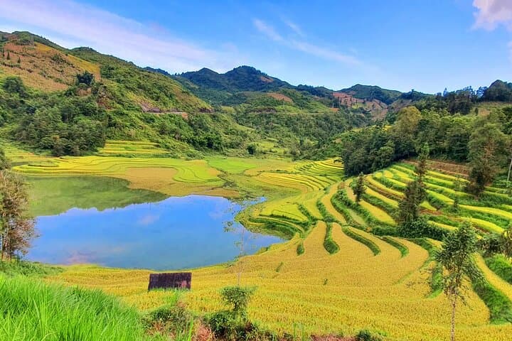 Sapa & Bac Ha Market 3-Day Cultural Trek: Rice Terraces, Hmong Villages & Sunday Market photo 4