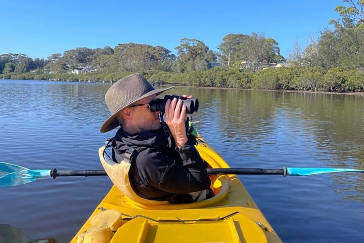 Coastal Bird-Watching Kayak Tour in New South Wales Estuaries photo 1