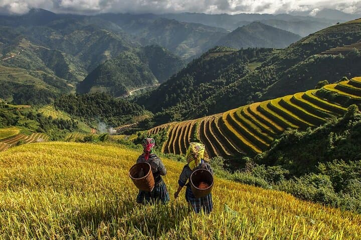Sapa 2-Day Motorbike Homestay: Off-Road Villages & Rice-Terrace Routes