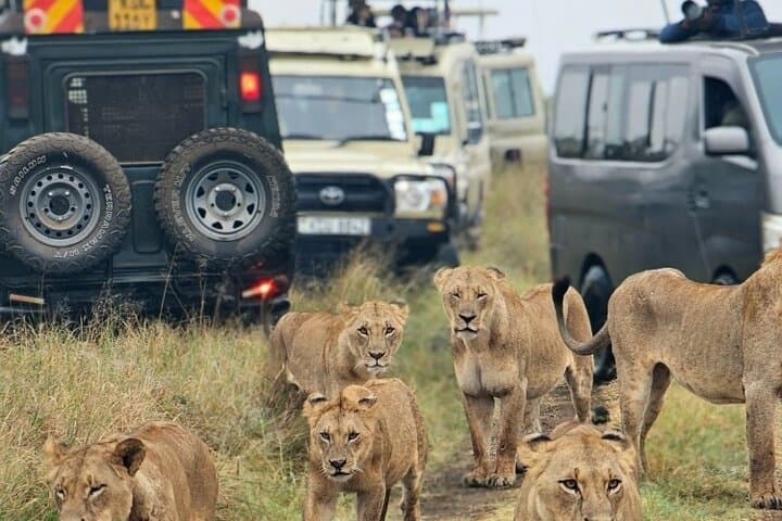 Exploring Nairobi National Park: Safari Adventure Within Kenya’s Capital photo 6