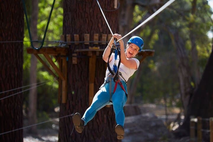 Forest Adventures: High Ropes & Flying Foxes in Ludlow Tuart Forest