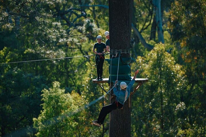 Forest Adventures: High Ropes & Flying Foxes in Ludlow Tuart Forest photo 3