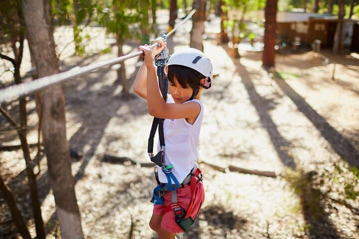 Forest Adventures: High Ropes & Flying Foxes in Ludlow Tuart Forest photo 5