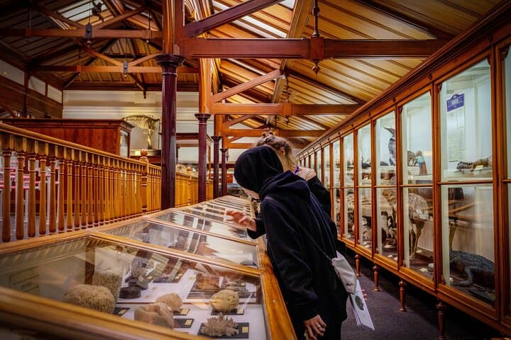 Hidden Tūhura Otago Museum Experience: Interactive Dunedin Museum Trail photo 2