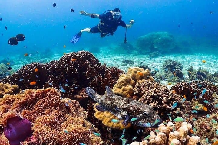 Racha Yai Island Scuba Day Trip from Phuket — Discover Shallow Coral Reefs photo 1