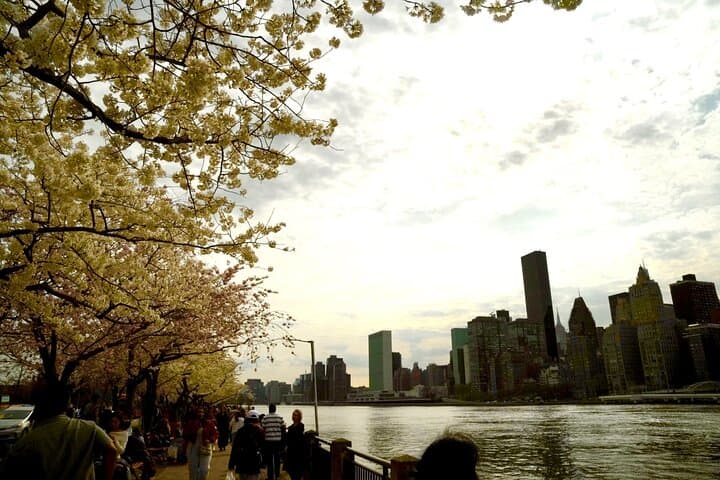 3-Day New York City Photography Tour: Homestay, Walking Tours & Statue Cruise photo 3