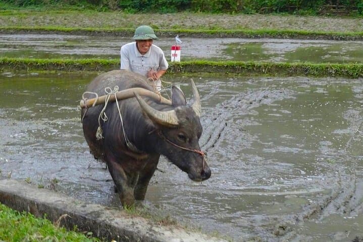 Mai Chau Day Trip from Hanoi: Biking the Rice-Paddy Valleys & Thai Villages photo 5
