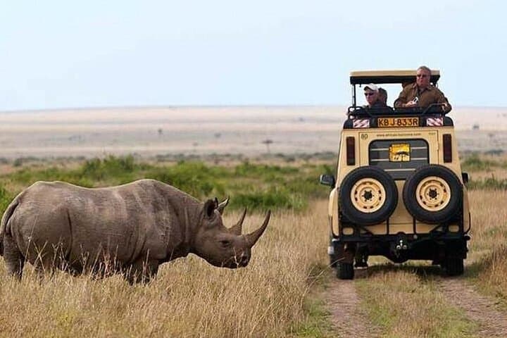 5-Day Masai Mara, Nakuru & Naivasha Budget Safari: Big Five and Flamingos photo 3
