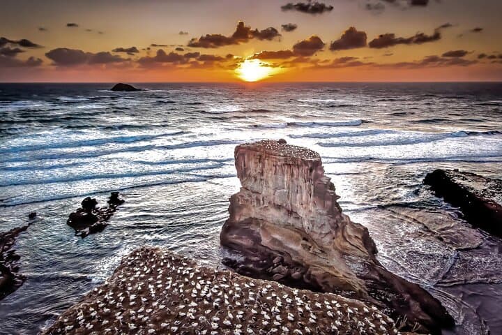 Auckland Thermal Pools & Muriwai Beach Sunset Tour — Hot Pools, Gannets & Coastal Views photo 4