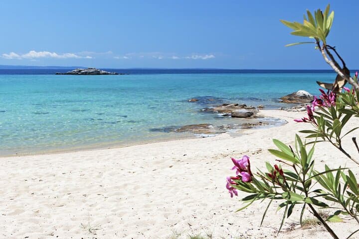 Halkidiki Full-Day Beach Tour: Olive Grove Tastings & Sunset at Kalogria photo 5
