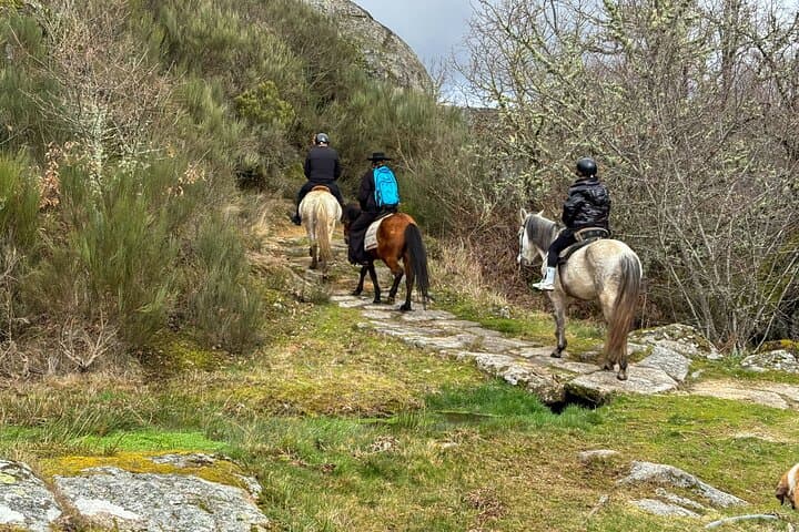 Horseback Wine Tasting in the Douro: Exclusive Farmhouse Ride & Brunch photo 4